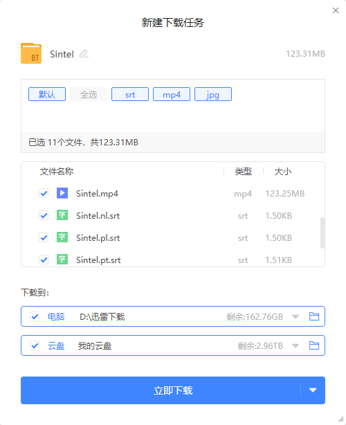 迅雷11电脑版下载 迅雷11截图
