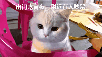 3DM轻松一刻第1392期 这种艺术对人类来说太超前